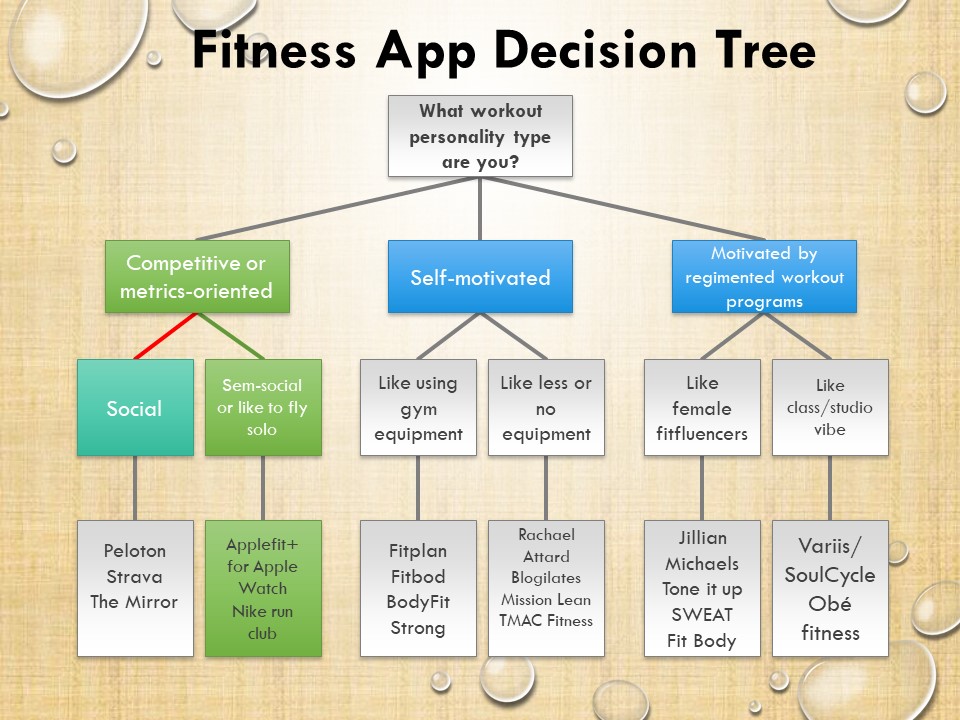 Read more about the article Fitness App Decision Tree