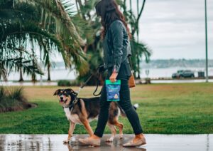 woman in black leather jacket and blue denim jeans holding black and brown short coated dog