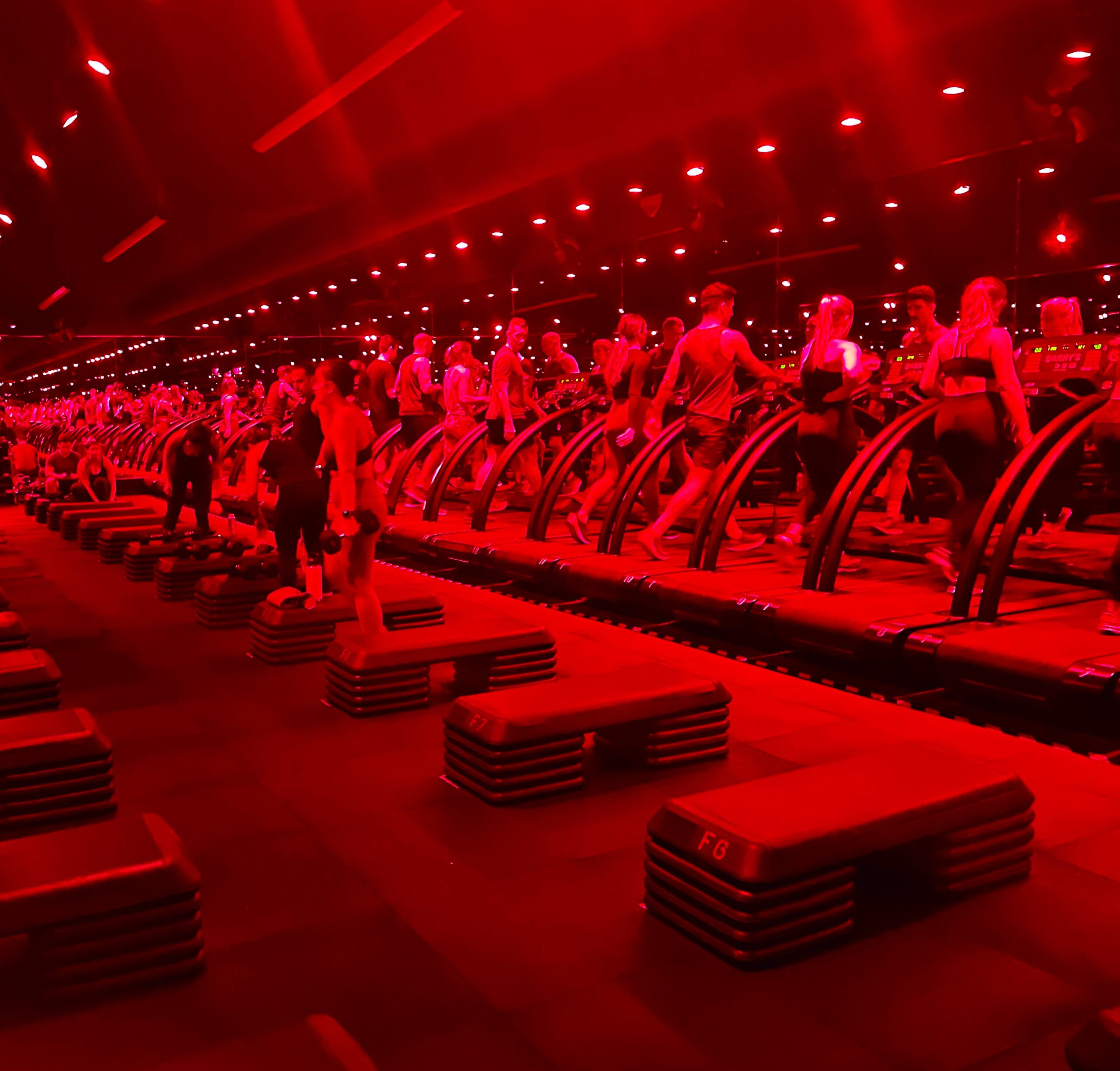 Read more about the article The Hardest Workout in the World: A Guide to Barry’s Bootcamp